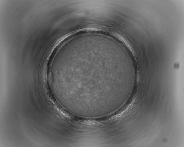 X0000098210829200805081133