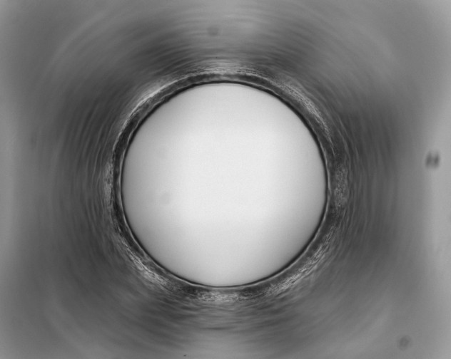 X0000098210831200805081133