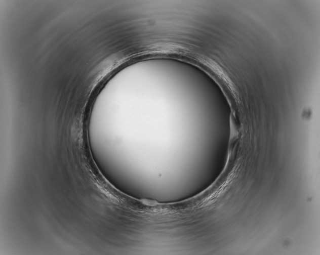 X0000098210834200805081133