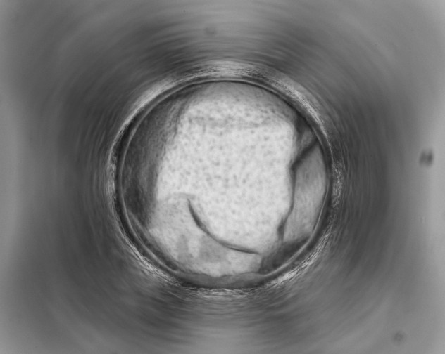 X0000098210835200805081133