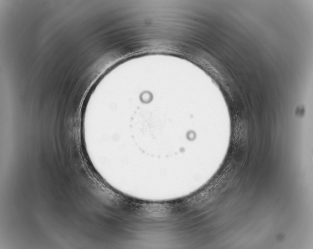 X0000098210836200805081133