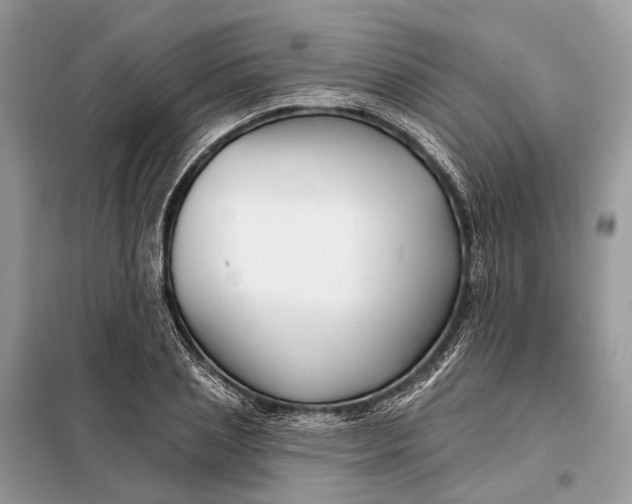 X0000098210837200805081133