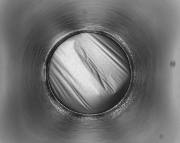 X0000098210838200805081133