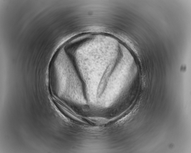 X0000098210839200805081133