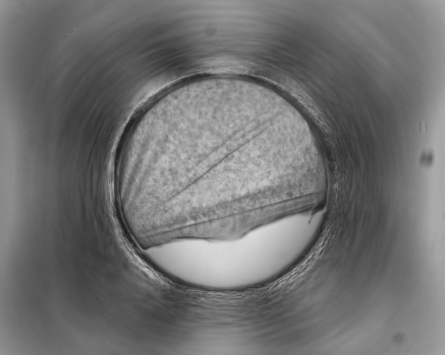 X0000098210840200805081133
