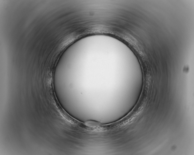 X0000098210841200805081133