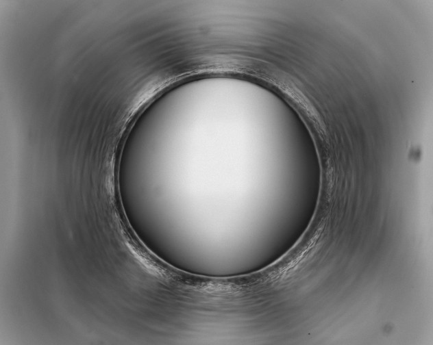 X0000098210842200805081133