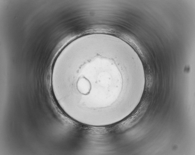 X0000098210844200805081133