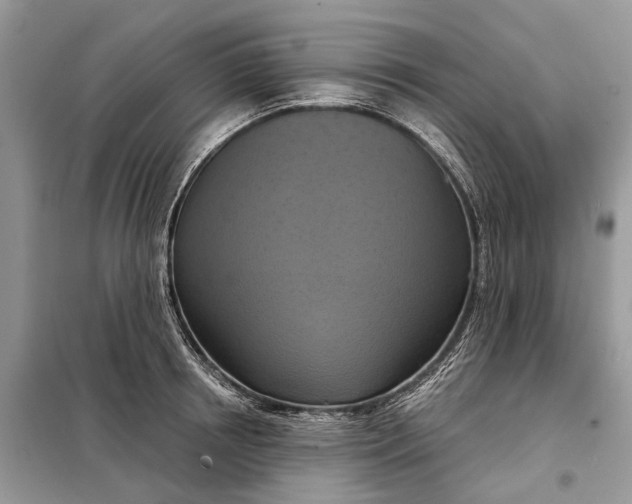 X0000098210850200805081133