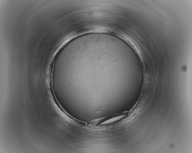 X0000098210851200805081133