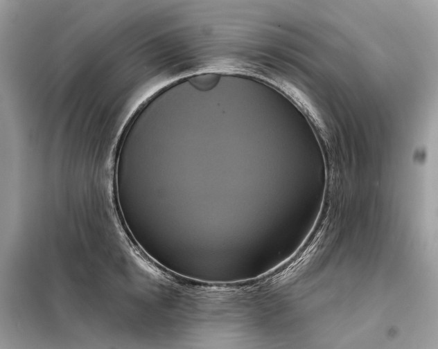 X0000098210854200805081133