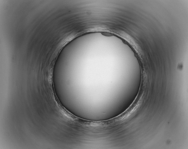 X0000098210857200805081133