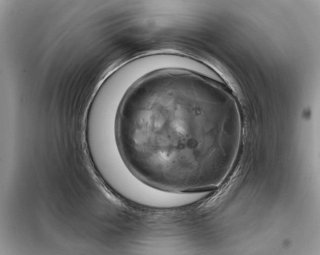 X0000098210858200805081133