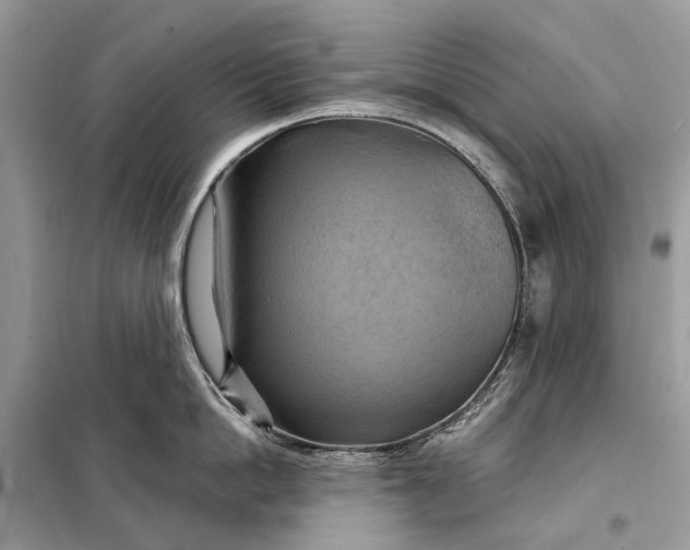 X0000098210862200805081133