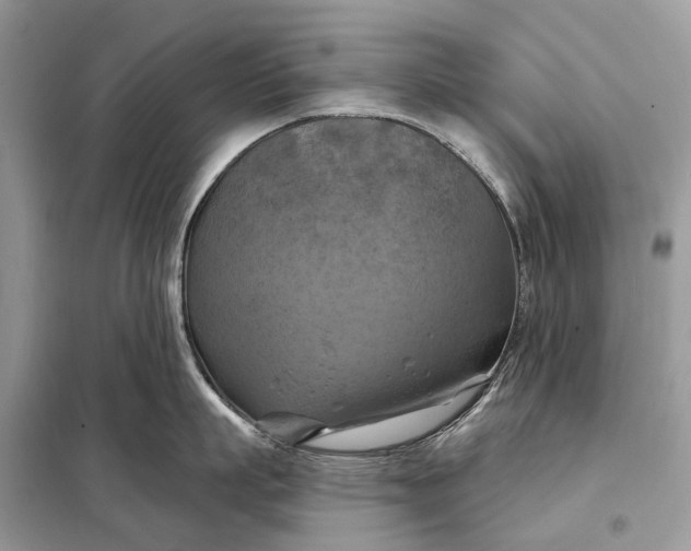 X0000098210863200805081133