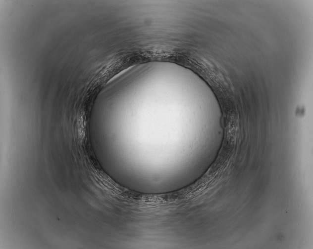 X0000098210866200805081132