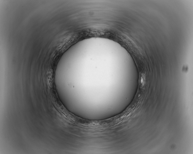 X0000098210867200805081132