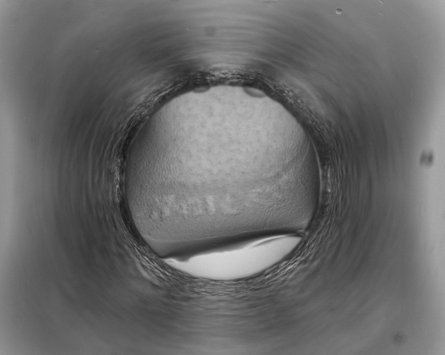 X0000098210868200805081132