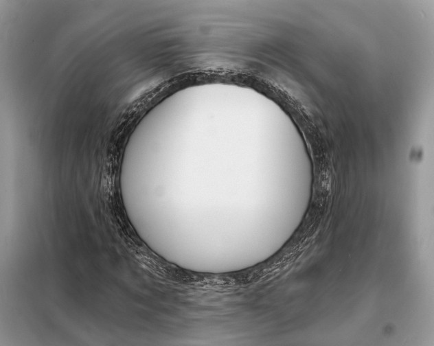X0000098210869200805081132