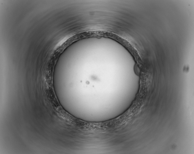 X0000098210871200805081132