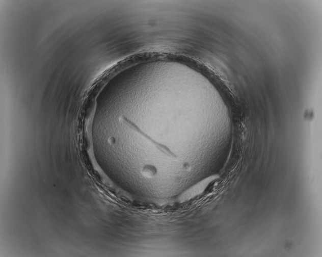 X0000098210872200805081132