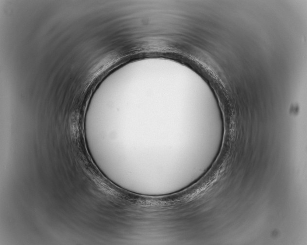 X0000098210873200805081132