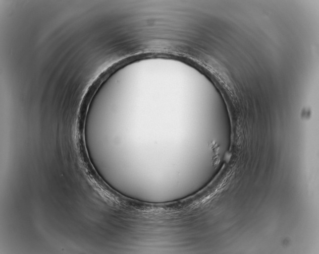 X0000098210880200805081132