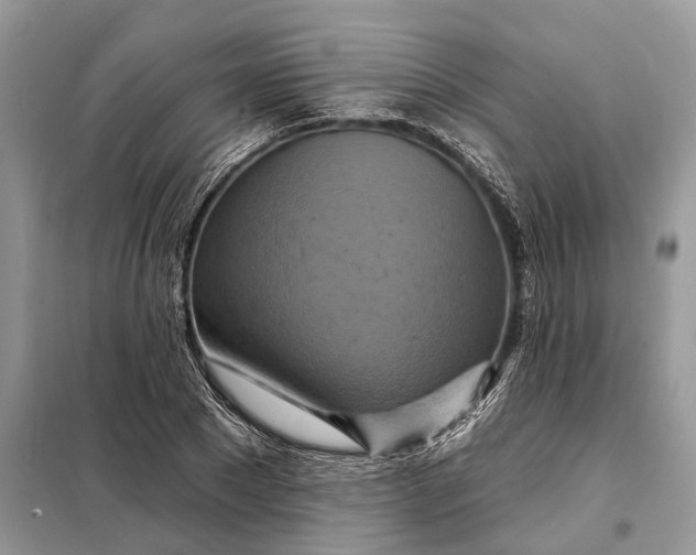 X0000098210881200805081132