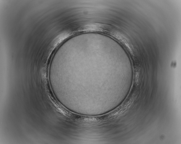 X0000098210882200805081132