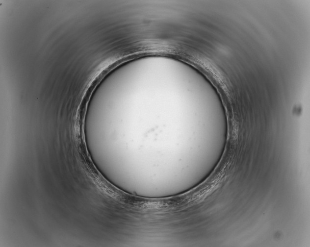 X0000098210883200805081132