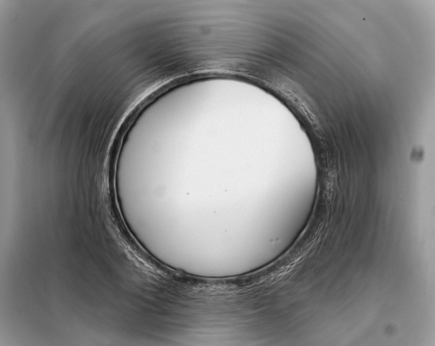 X0000098210884200805081132