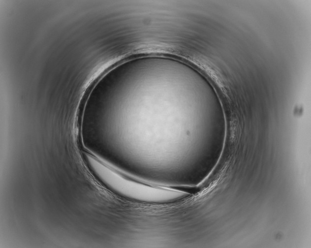 X0000098210885200805081132
