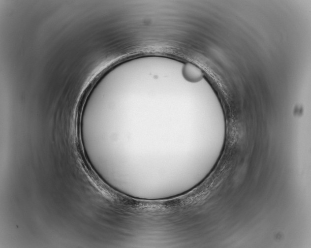 X0000098210886200805081132