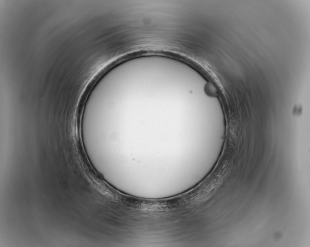 X0000098210887200805081132