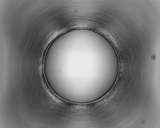 X0000098210890200805081132
