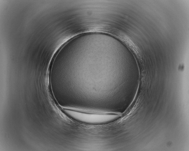X0000098210892200805081132