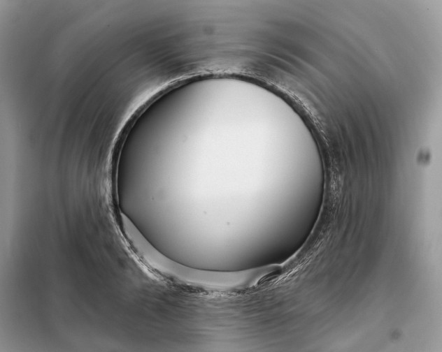 X0000098210894200805081132