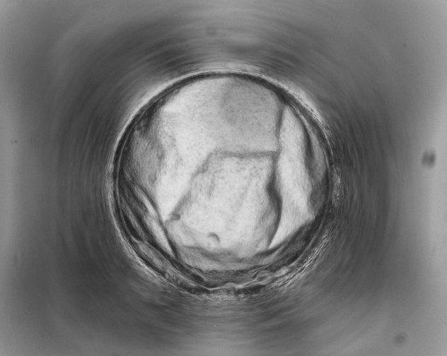 X0000098210895200805081132