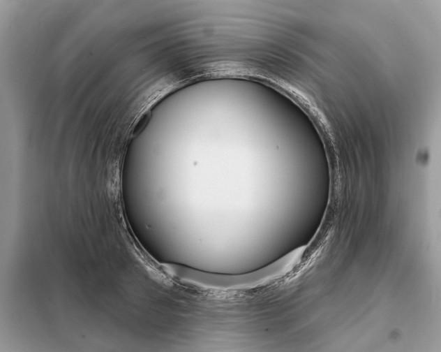 X0000098210897200805081132