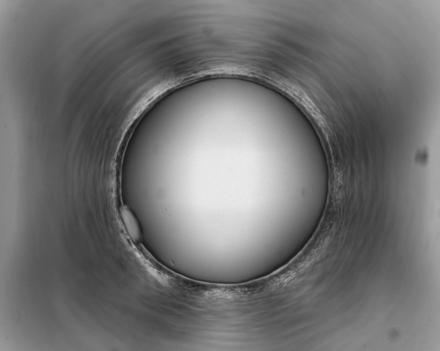 X0000098210898200805081132