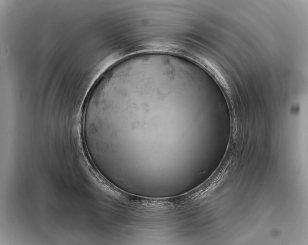 X0000098210899200805081132