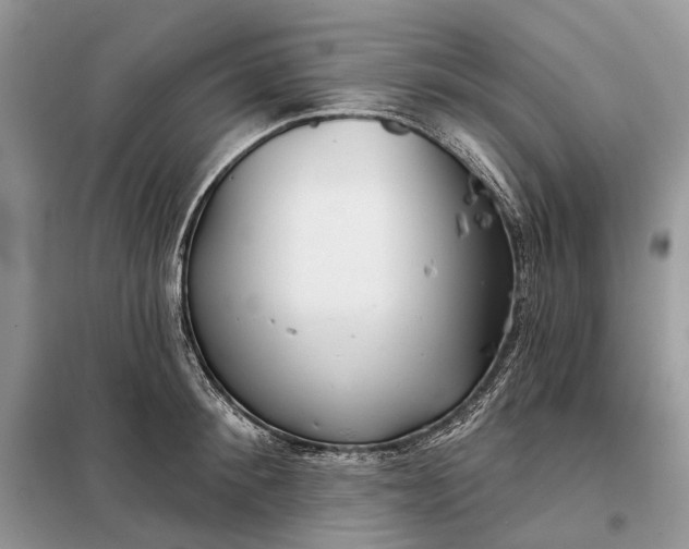 X0000098210900200805081132