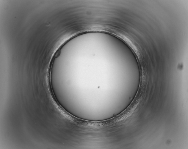 X0000098210901200805081132