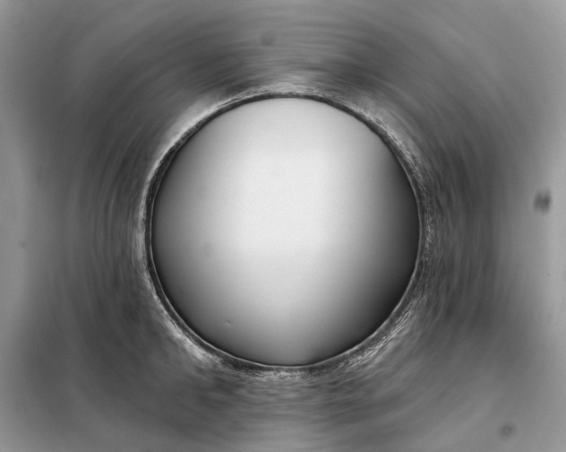 X0000098210902200805081132