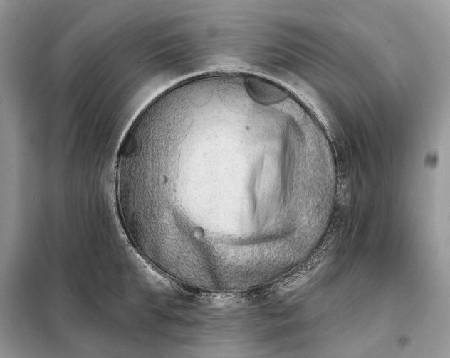 X0000098210903200805081132