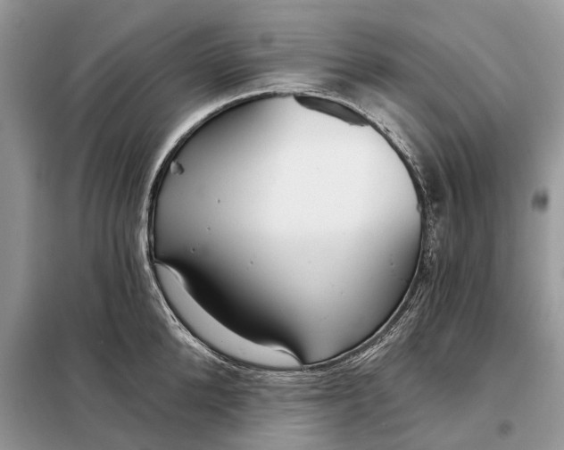 X0000098210904200805081132