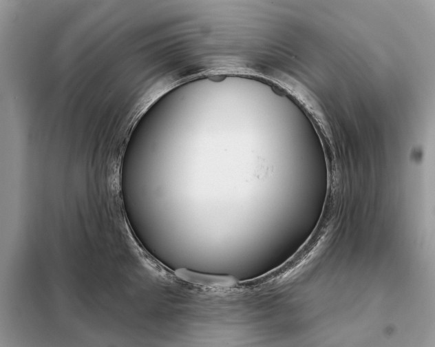 X0000098210905200805081132