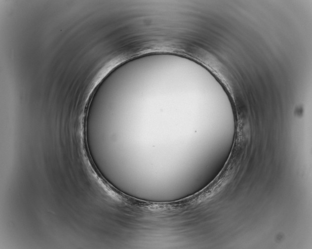 X0000098210906200805081132