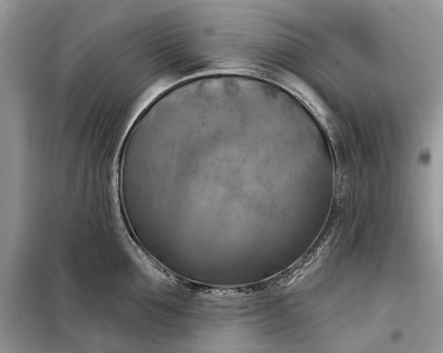 X0000098210907200805081132