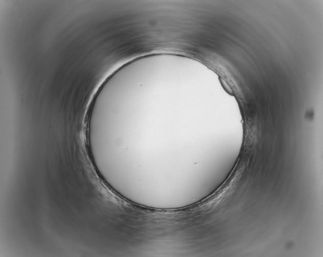 X0000098210908200805081132